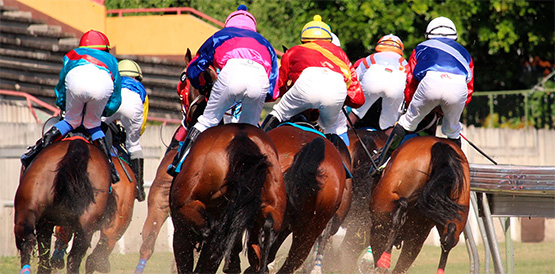 A row of horse and rider butts leaving you in the dust.